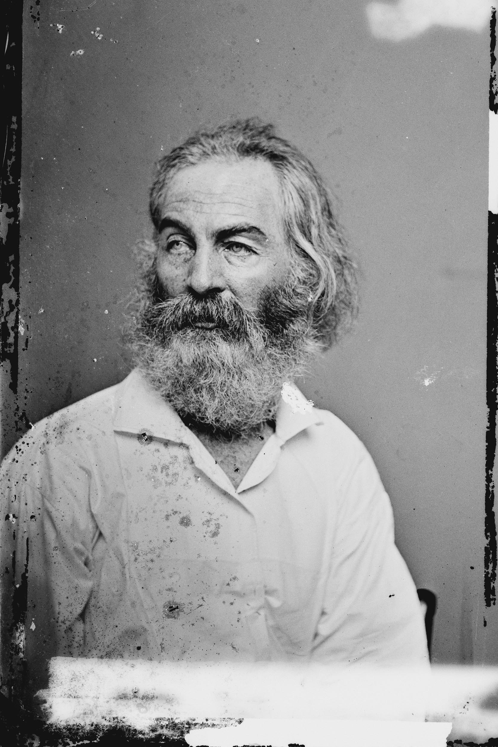 Walt Whitman portrait