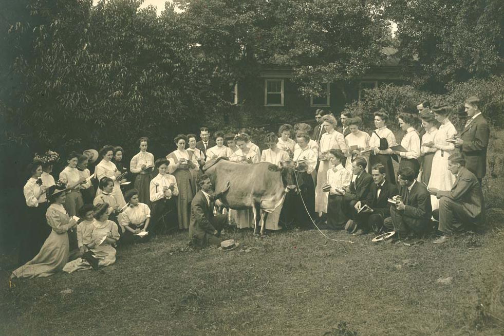 A summer agriculture class at UVA provides instruction in stock judging with a cow.  black and white image