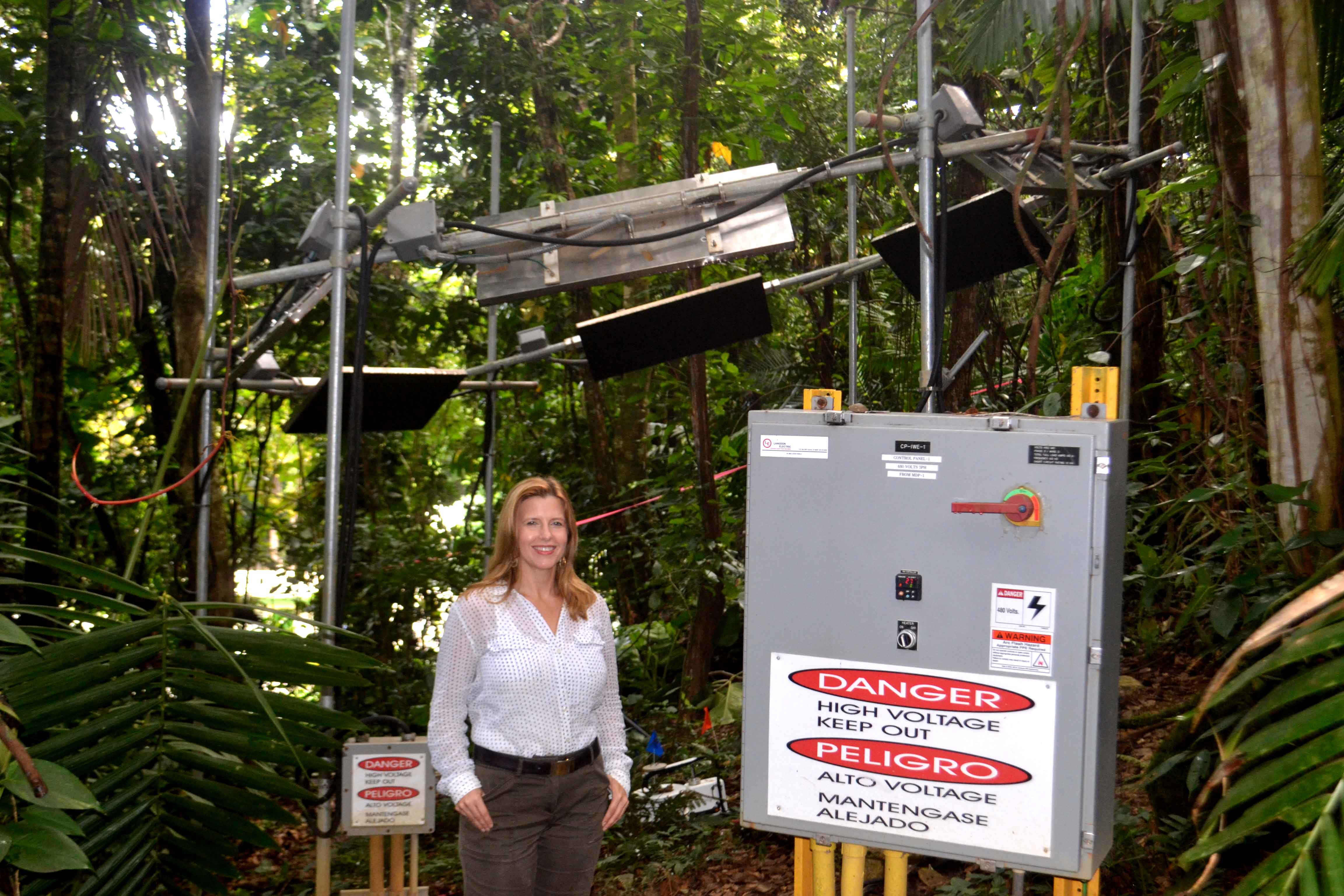 Environmental sciences alumna Tana Wood at her experimental site in Puerto Rico.