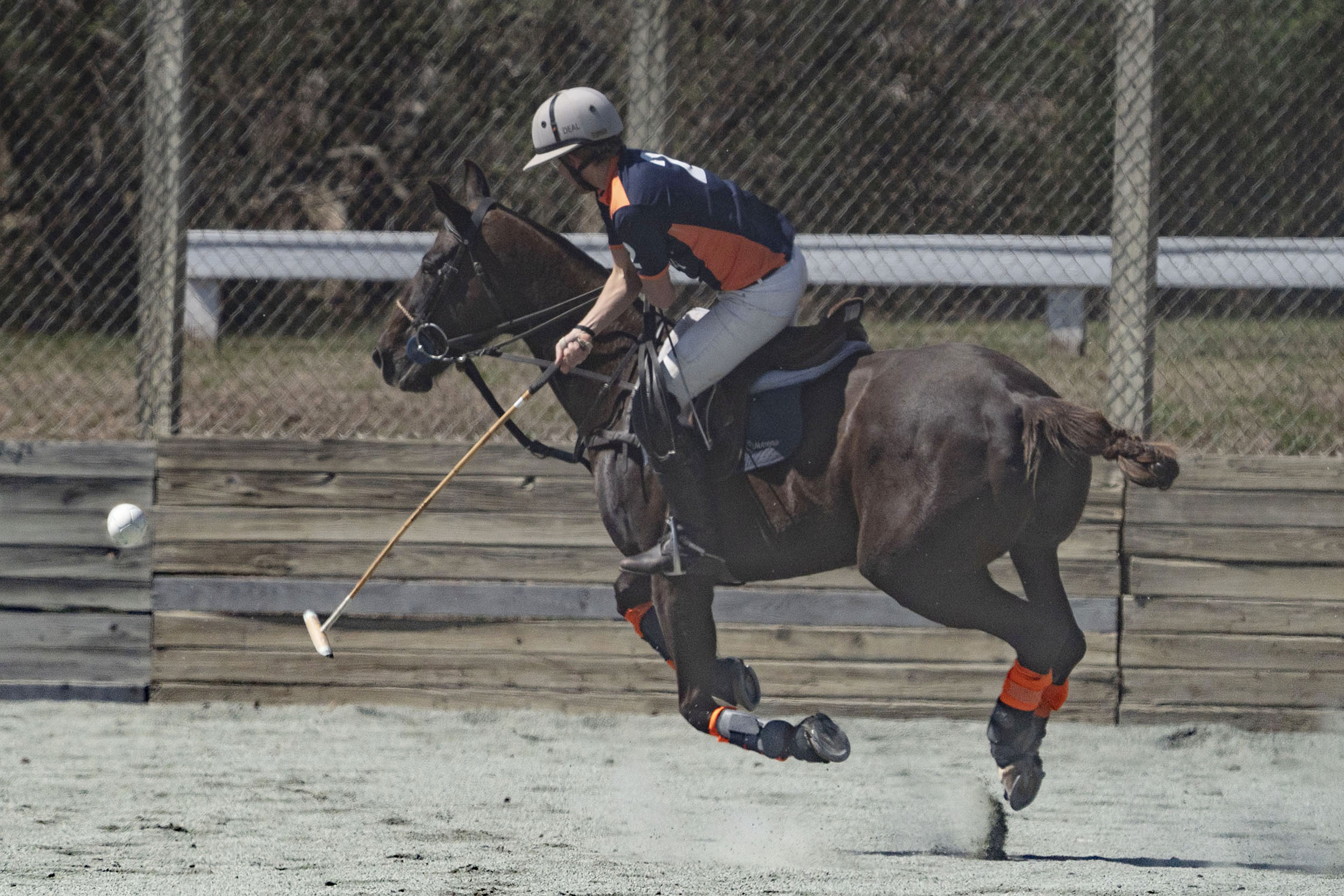 Virginia Polo player Jim Deal