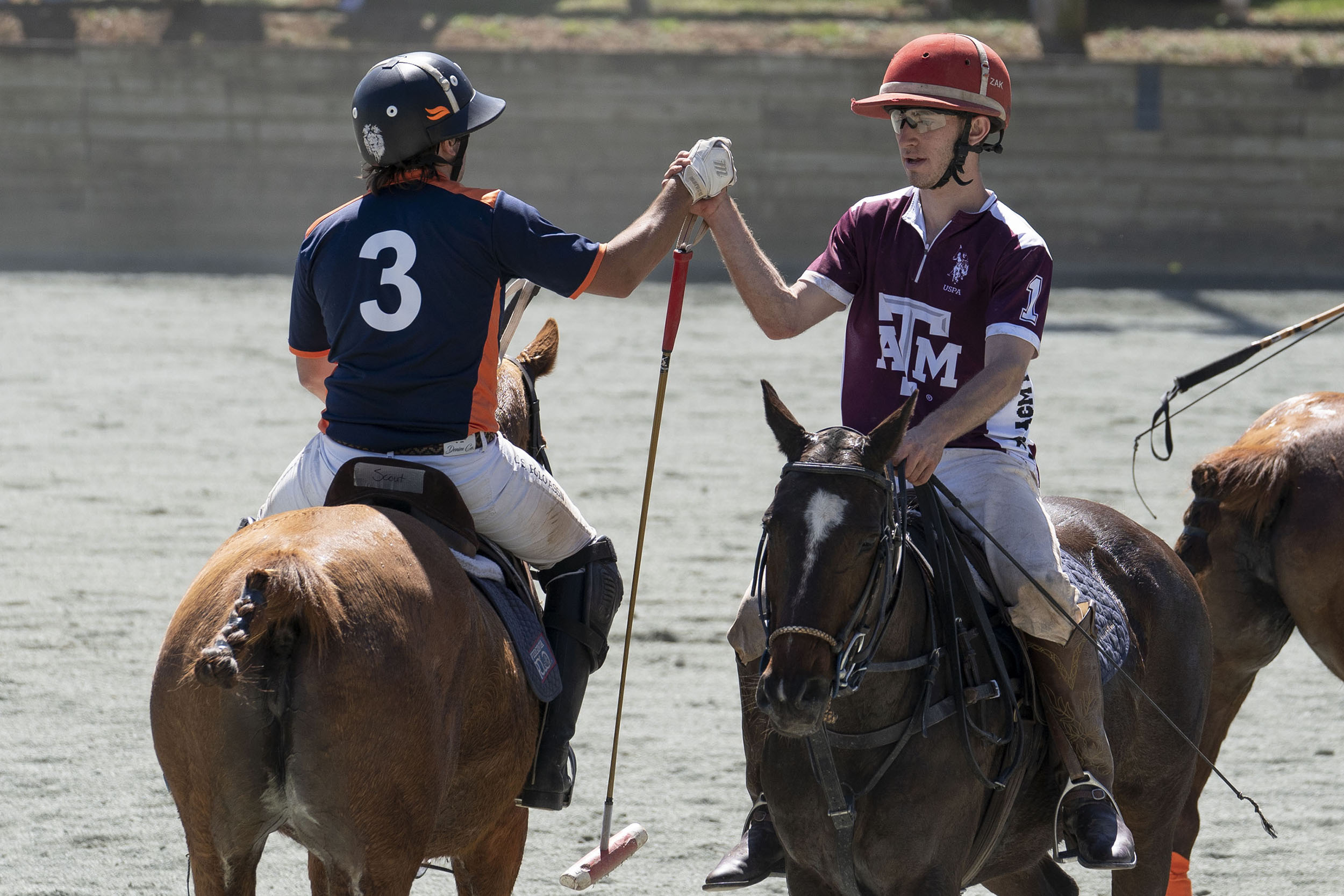 Virginia Polo Club captain Parker Pearse congratulates a Texas A&M player following the match